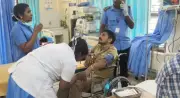 Forest Officer Gored by Wild Gaur in Periyar Tiger Reserve, Injured