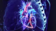 Four-Year-Old Boy Dies of Suspected Heart Attack in Karnataka's Hiriyur