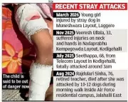 Four-Year-Old Girl Attacked by Stray Dogs in Bengaluru, Sparks Outrage