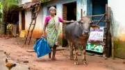 From Homemaker to Dairy Queen: Daryaben Rajput's Inspiring Journey