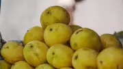 From Langra to Bombay Green: Fascinating Stories Behind India's Famous Mango Names