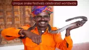 From Python Festival to Nag Panchami: 7 Unique Snake Festivals Worldwide