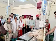 GADVASU Urges Ludhiana Residents to Register Pet Dogs as Blood Donors