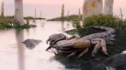 Giant Scorpion Fossil Rewrites Early Land Life in Britain