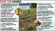 Goa Faces 40°C by 2040, Experts Warn of Climate Crisis