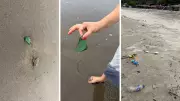 Goa Morjim Beach Glass Discovery Sparks Online Safety Debate