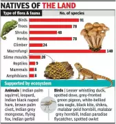 Goa’s Betul Plateau Study Reveals Rich Biodiversity, Carbon Sink Potential