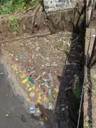 Goa's Merces Creek Deteriorates Due to Sewage and Neglect