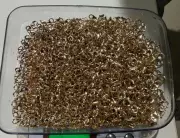 Gold Smuggling Foiled at Ahmedabad Airport, 600g Gold Hooks Seized