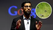Google's Plan to Release 64 Million Mosquitoes in US Explained
