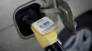 Govt Debunks E20 Fuel Myth, Says Ethanol Blend Won't Affect Insurance