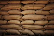Govt releases draft National Food Security (Amendment) Bill, 2026, seeks suggestions