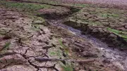 Govt Warns Severe El Nino to Hit 12 States' Kharif 2026 Crops