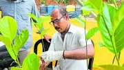 Grafting Campaign Celebrates Jackfruit Diversity in Coastal Karnataka