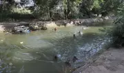 Groundwater extraction drops in Punjab as canal irrigation expands: Report
