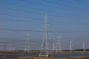 Gujarat Cabinet Approves Wire-Free City Mission to Underground Power Lines