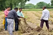 Gujarat govt gave Rs 22,733 crore relief to 1.4 crore farmers in 10 years