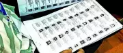 Gurgaon BLOs Begin Door-to-Door Voter Verification from Monday
