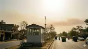 Haryana Emerges as Ozone Hotspot: 40% Stations Breach National Standards