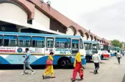 Haryana Roadways Offers Free Bus Travel for NEET Re-exam Candidates on June 20-21
