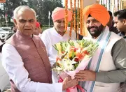 Haryana to Formulate Policy for Organic Farming on Panchayat Land Next Year