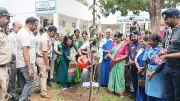 'Hasiru Hassan' Campaign Launched in Karnataka to Plant 7.6 Lakh Saplings