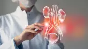 Heart Drug Shows Promise for Kidney Repair in Breakthrough Study