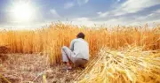 Heat Stress on Agricultural Workers to Hit India's Exports