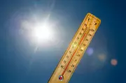 Heatwave in Delhi NCR Causes 40% Surge in Wildlife Rescue Calls