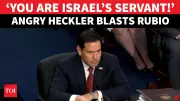 Heckler Screams 'Stop Backing Israel's Genocide' at Rubio Hearing, Dragged Out by Security