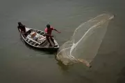 Himachal Pradesh Imposes Complete Ban on Fishing for Breeding Season