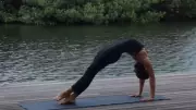 Hollywood Stars Embrace Yoga for Fitness, Stress Relief, and Peak Performance