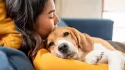 How Pets Help Navigate Empty Nests and New Beginnings