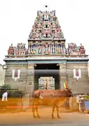 HR&CE Department to Introduce Online Bookings for Chennai Temples