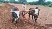 Hubballi: Sowing Delayed as Monsoon Yet to Arrive in District
