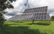 IEA Lauds India's Renewable Energy Success as Model for Southeast Asia