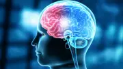 IIT Madras Unveils World's Most Detailed 3D Atlas of Human Brainstem