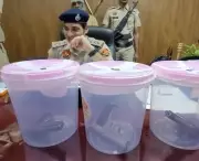 Illegal Arms Supply Network Busted in Gurgaon, Key Manufacturer Arrested in MP