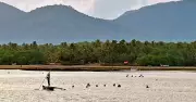In Uttara Kannada Estuaries, Livelihood Beneath the Water