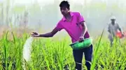 India Issues Second Global Urea Tender for Kharif Amid Price Surge