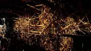 India Pavilion at Venice Biennale Highlights Ecology and Craft