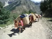 India-Tibet border trade resumes via Lipulekh Pass after six years, now by road