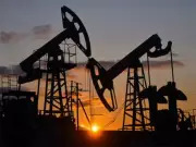 India Urged to Build Crude Buffers as EY Warns of Rising Petroleum Vulnerability