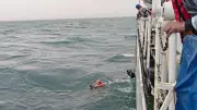 Indian Coast Guard rescues 6 fishermen off Mangaluru coast in rough seas