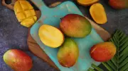Indian Farmer Successfully Cultivates Rare Japanese Miyazaki Mangoes