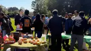 Indian Mango Festival in San Francisco Draws Crowds with Free Desi Mangoes
