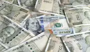 Indian Rupee Rises 25 Paise to Close at 95.36 Against US Dollar