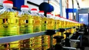 India's Edible Oil Imports Rise 6.7% in May on Higher Soyabean Oil Shipments
