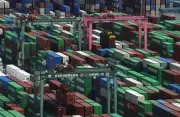 India's Goods Exports Hit Record $45.2 Billion in May, Up 18%
