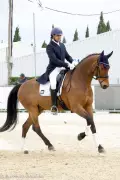 Jalandhar Equestrian Jai Sud Aims for Asian Games After Strong European Shows